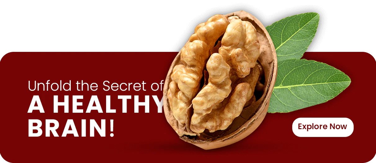 Healthy Brain Banner